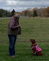 a woman standing next to a dog wearing a pink vest