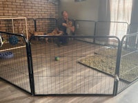 a man sitting in front of a dog play pen